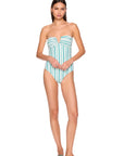 Swim Stripe V Wire One Piece
