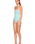 Swim Stripe V Wire One Piece