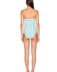 Swim Stripe V Wire One Piece