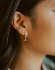 Sierra Winter Prairie Star Earring with drop earring