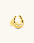 Sierra Winter Easy Rider Ring angled