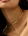 Jenny Bird Dane Collar close up on neck