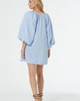 YFB Leilani Mini Dress back