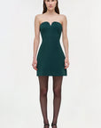 Devin Bustier Mini Dress on a model front