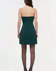 Devin Bustier Mini Dress on a model back
