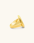 Sierra Winter Easy Rider Ring side