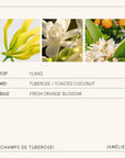 Three floral images with labels for top, middle, and base notes of a fragrance.