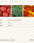 Color swatches labeled 'Lemon/Pomegranate', 'Pine', and 'Amber' with corresponding product name 'Amélie'.