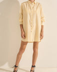 Ilio Nema Arion Killini Stripe Shirt Dress front closed