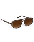 brown sunglasses with brown lenses on a white background