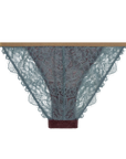 Wild Rose Brief by itself back