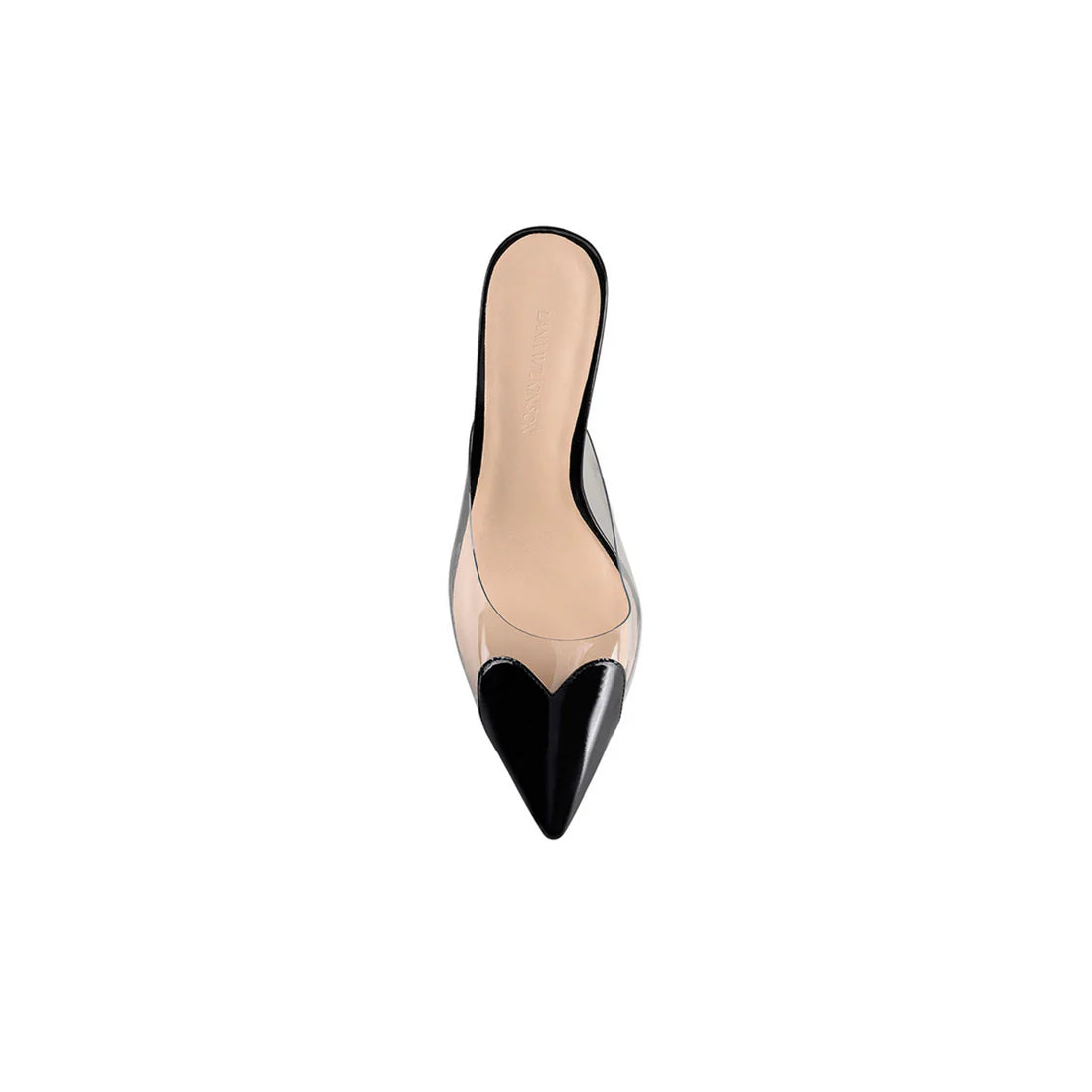 High-heeled shoe with black pointed toes on a white background