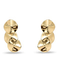 Pair of gold earrings on a white background
