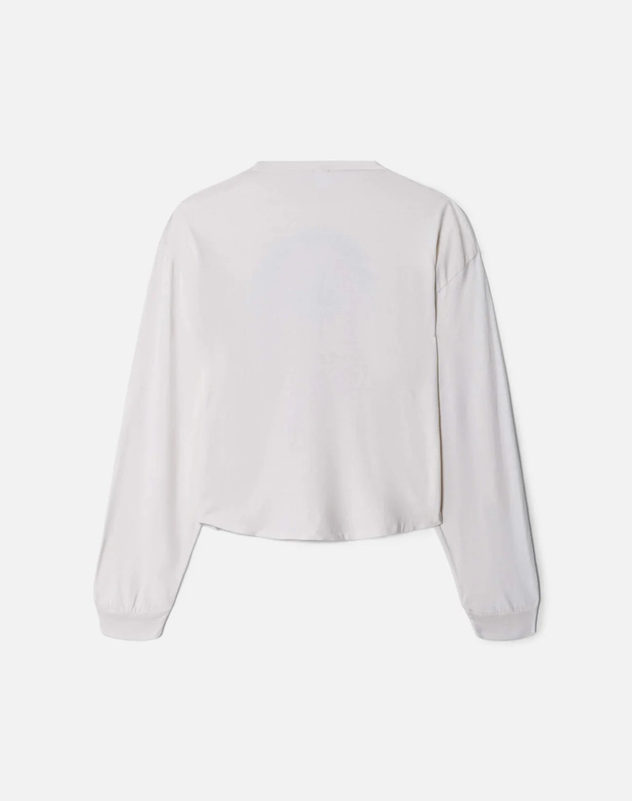 Boxy Boyfriend Ski Bum Long Sleeve by itself back