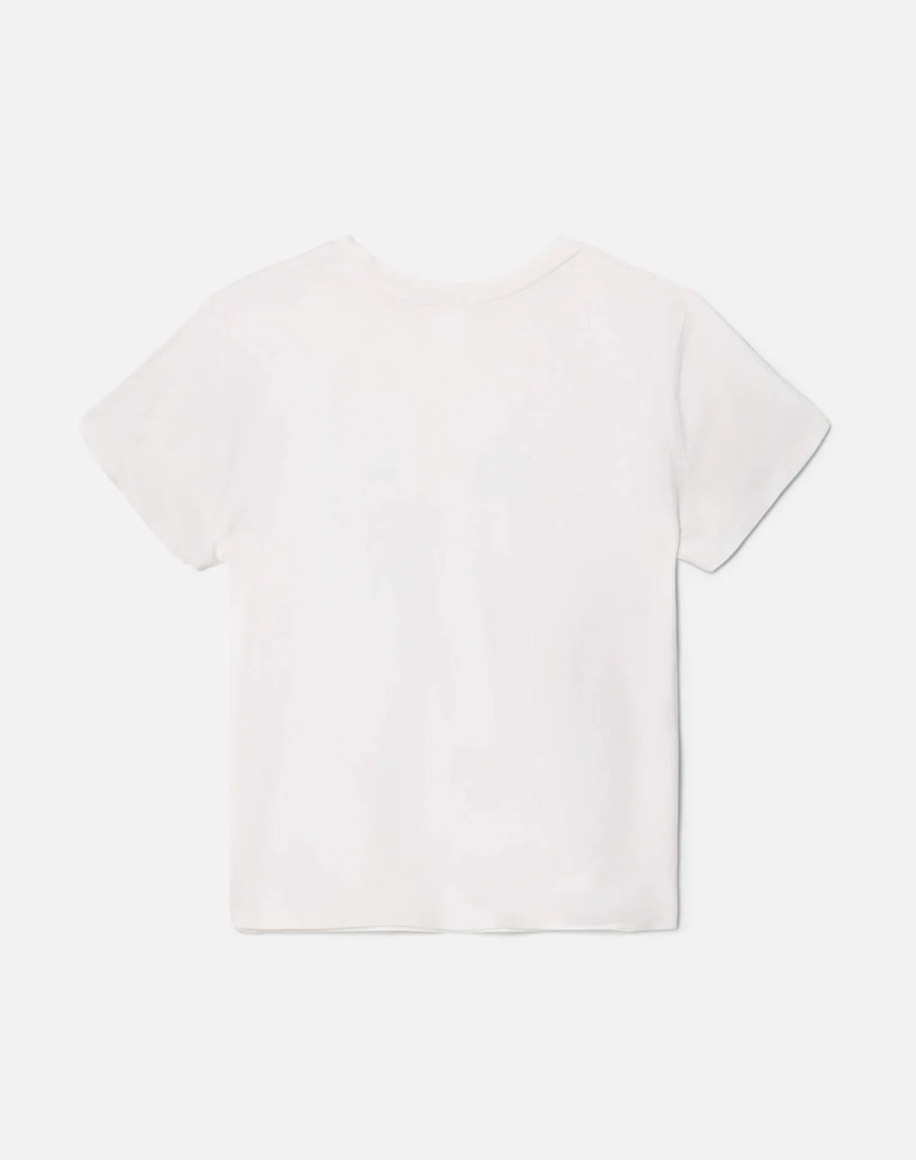 Classic Tee Same Cloth by itself back