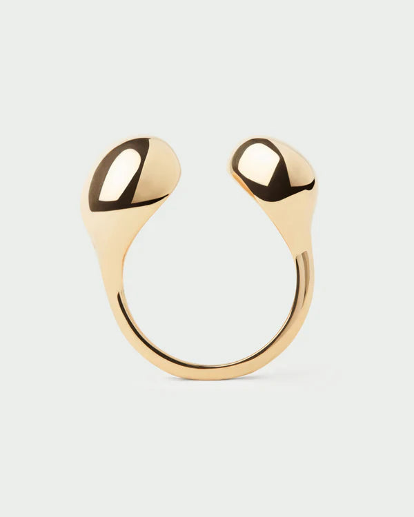 Gravity Ring close up