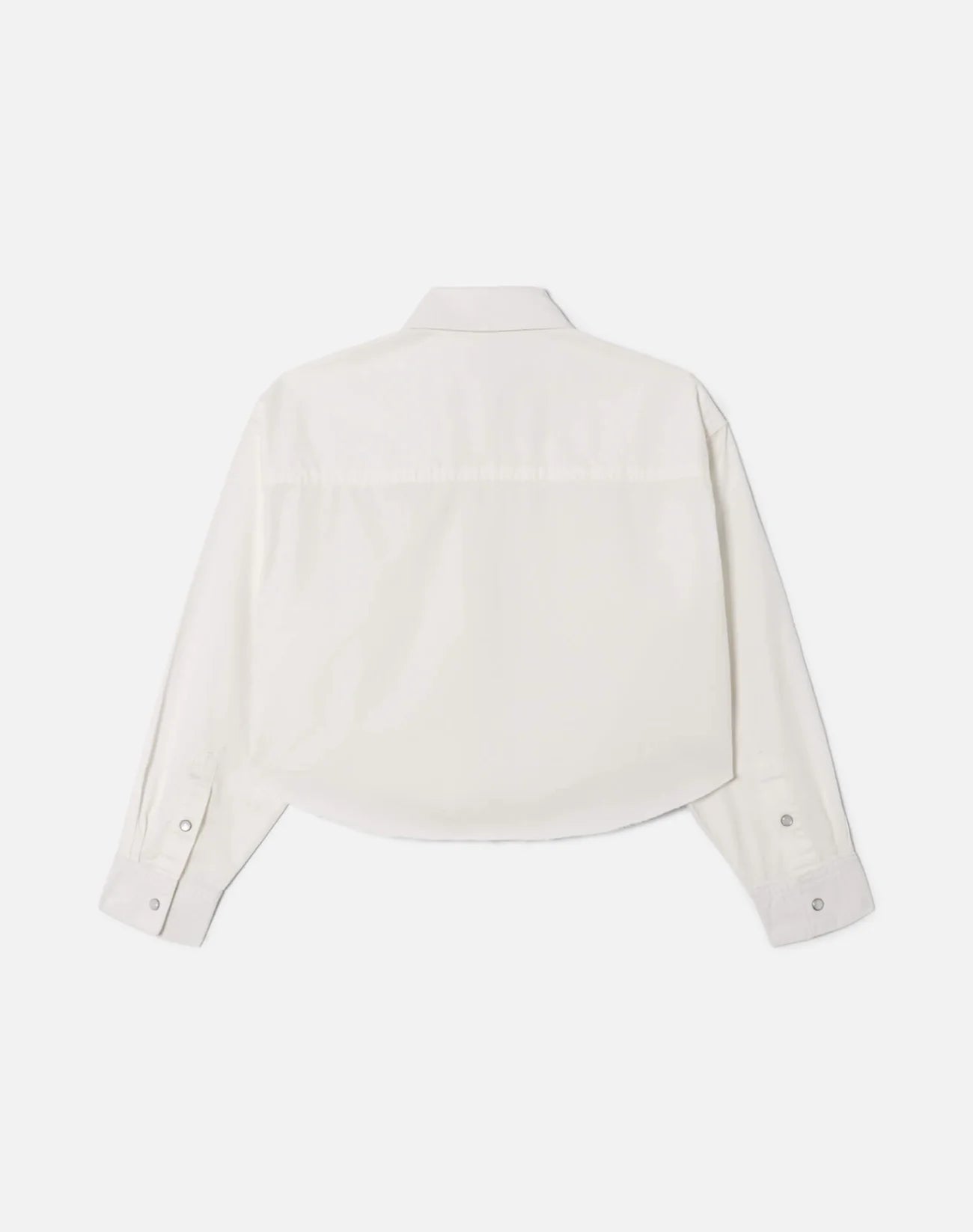 Camper Crop Shirt by itself back