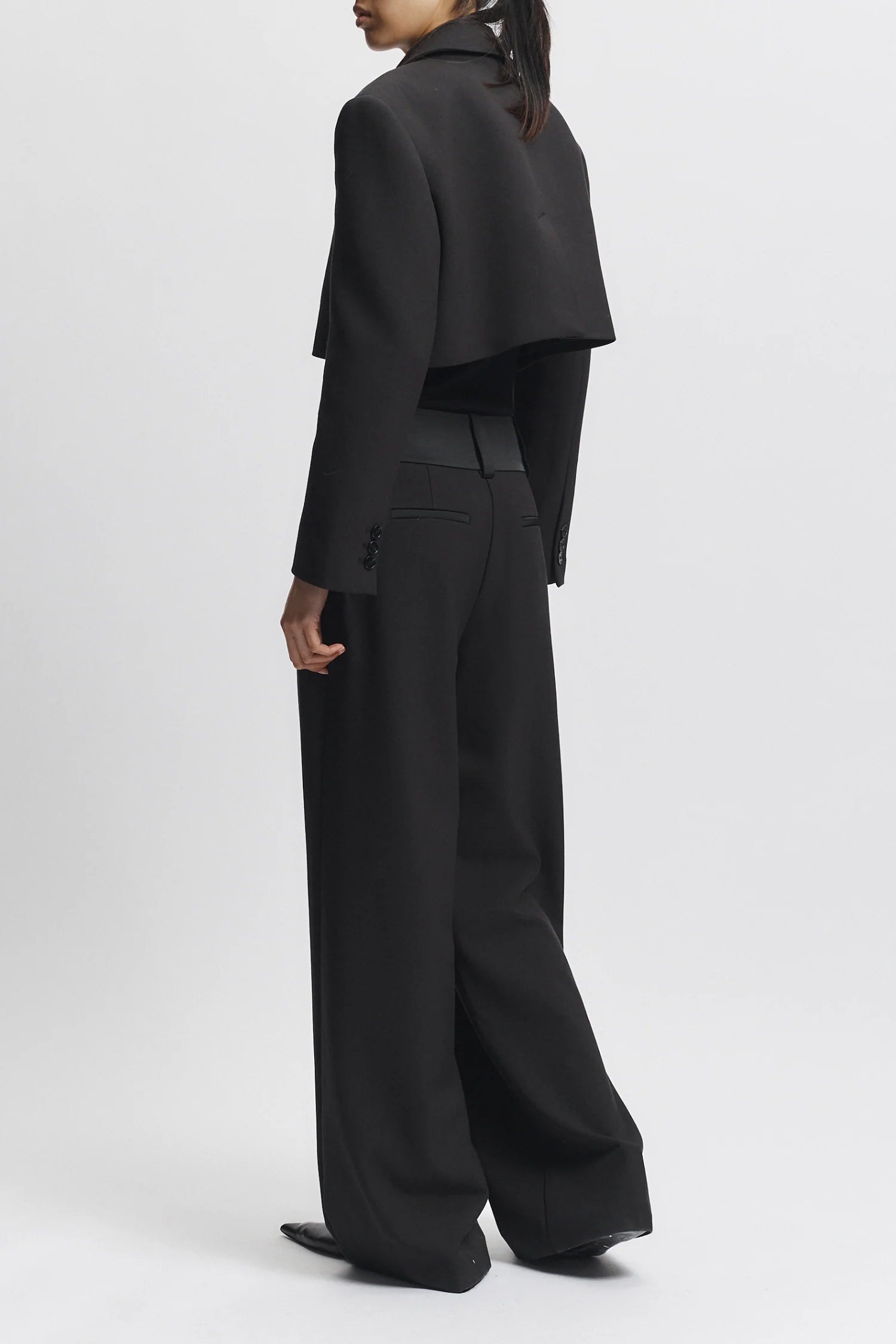 Stone Suiting Trouser Pant full body back view