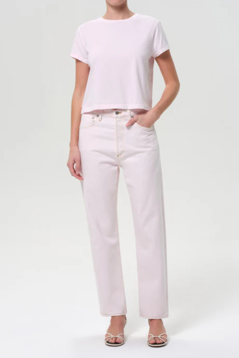 Agolde 90s Mid Rise Straight in Cosmos full body front