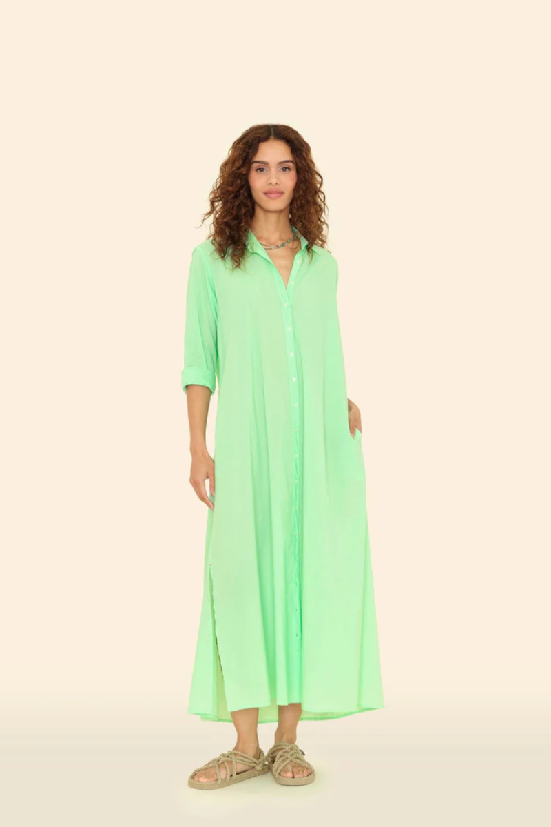 Xirena Boden Dress in Pistachio front view