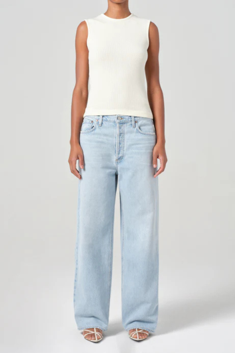 Agolde Low Slung Baggy Jean front