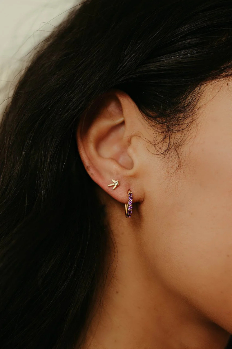 Sierra Winter Prairie Star Earring with huggie hoops