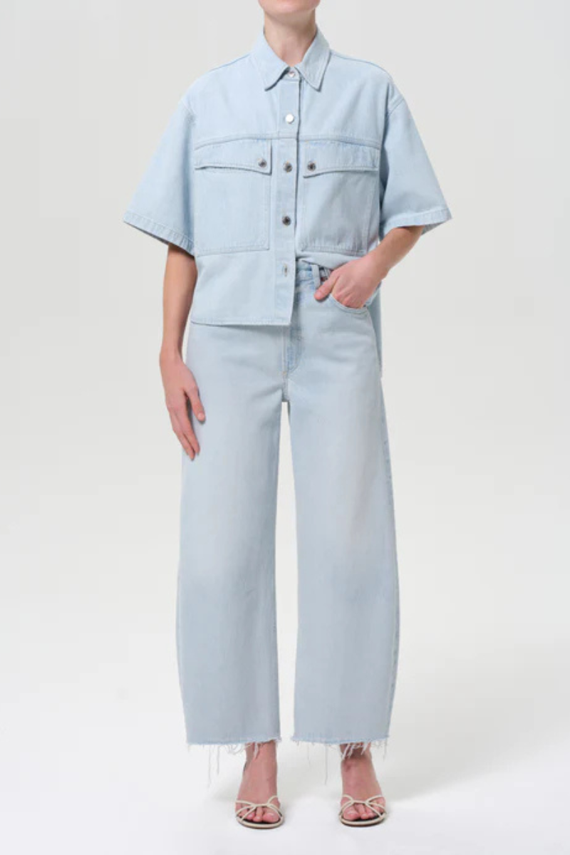 Agolde Low Curve Fray Jean front full body