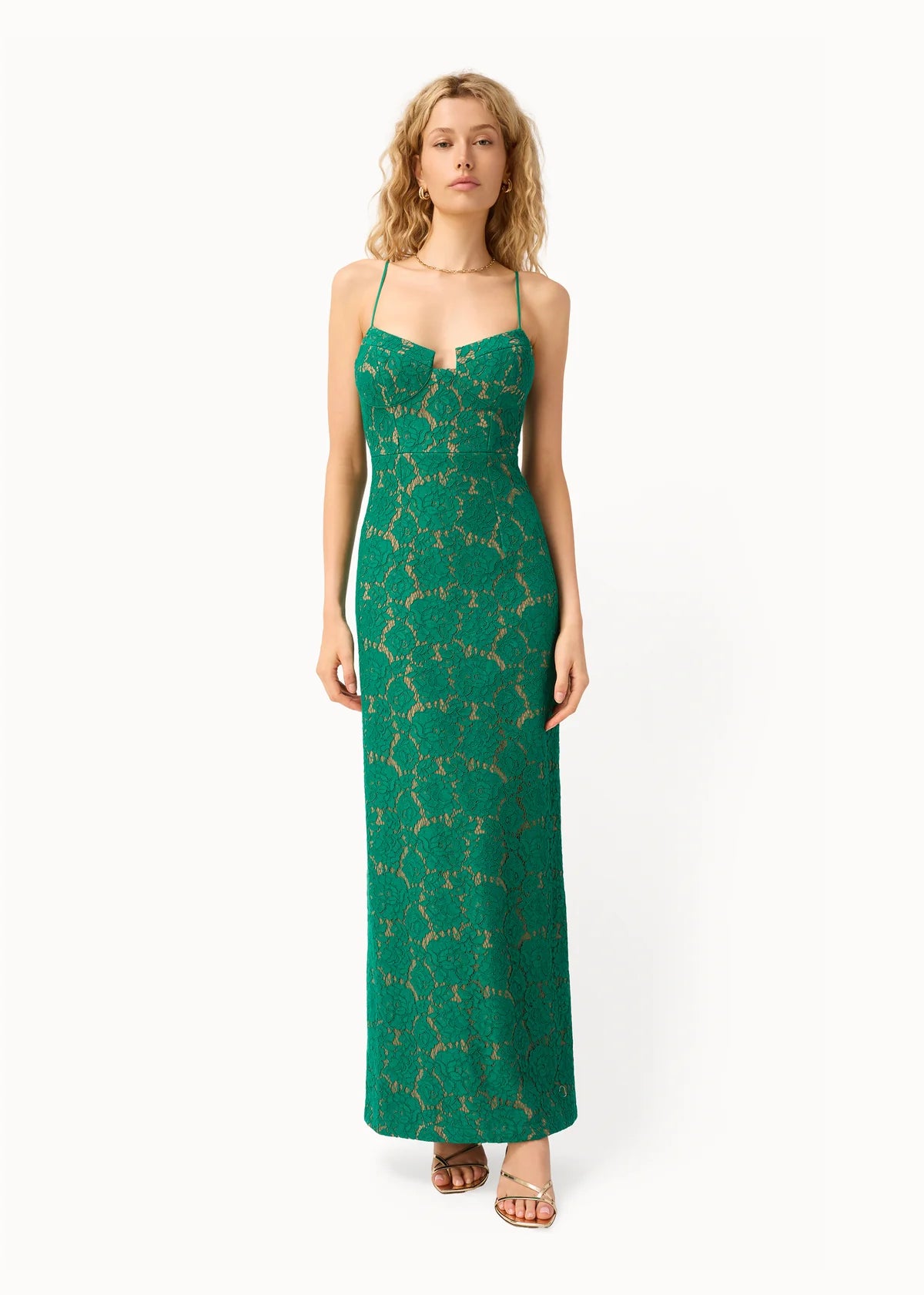 Rosaria Lace Gown full body front