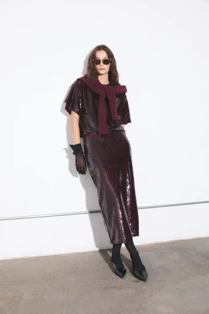 Logan Sequin Skirt with matching top