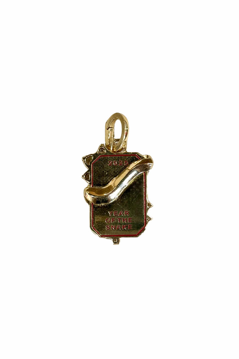 Snake Diamond Dog Tag Charm back, dark lighting