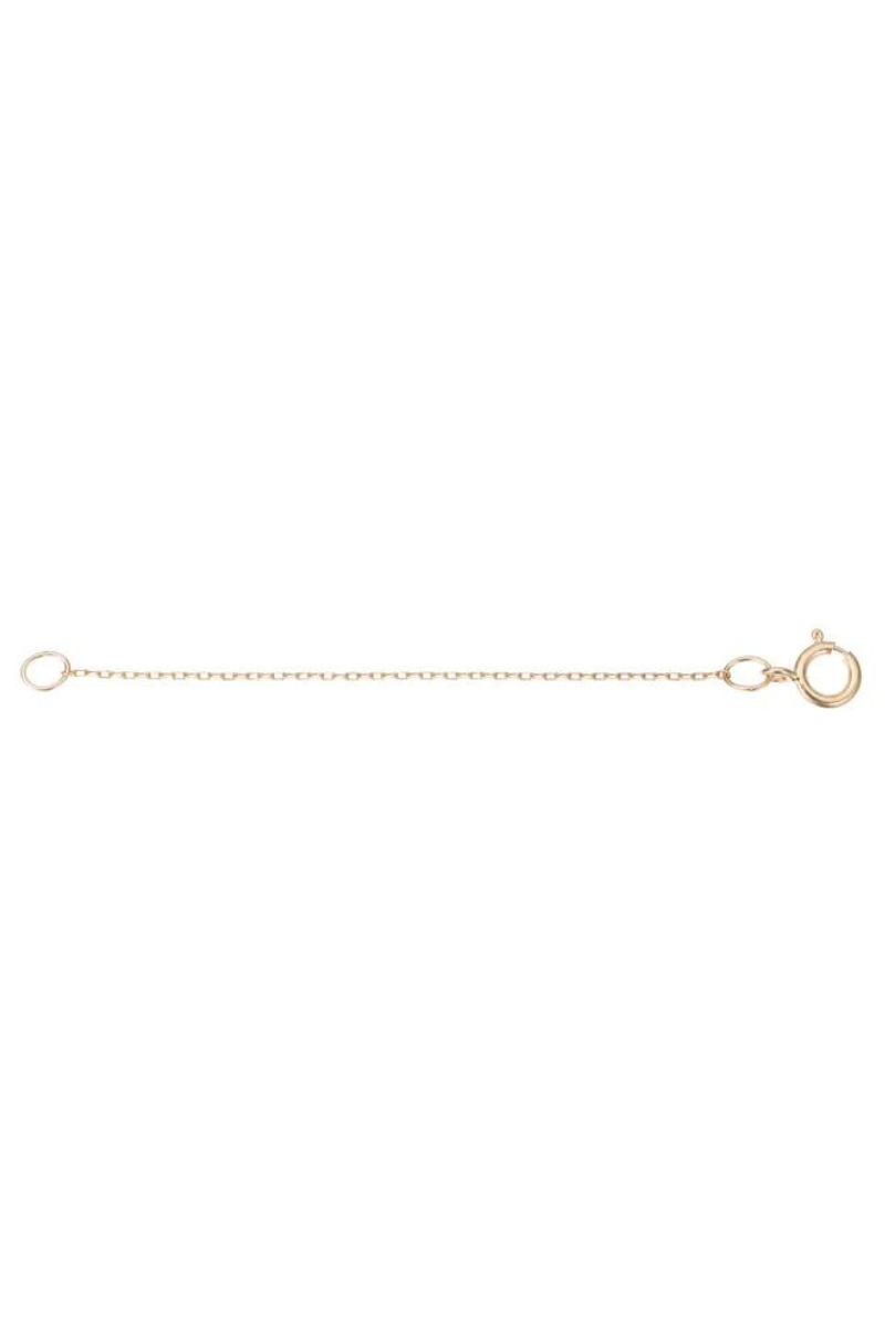 Adina Reyter 2" Yellow 14k Extender horizontal view