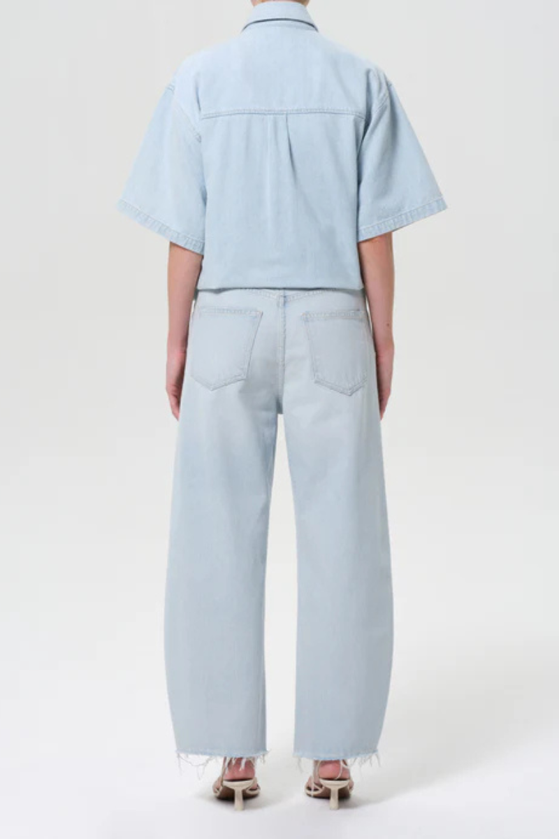 Agolde Low Curve Fray Jean back