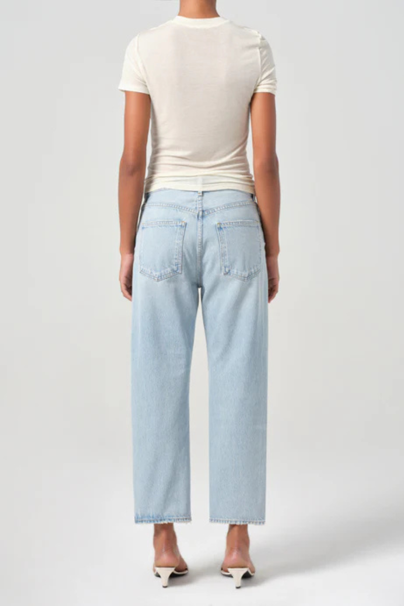 Agolde 90s Crop Mid Rise Loose Straight back