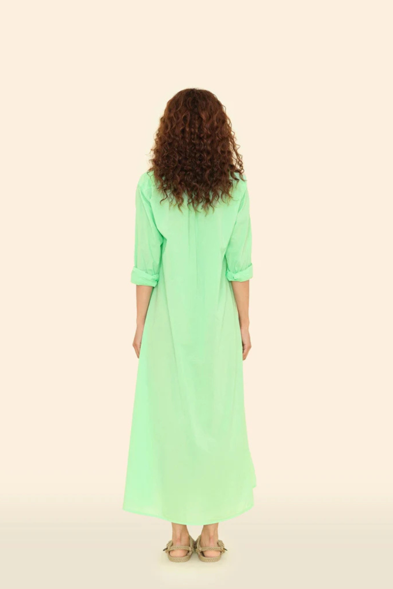 Xirena Boden Dress in Pistachio back