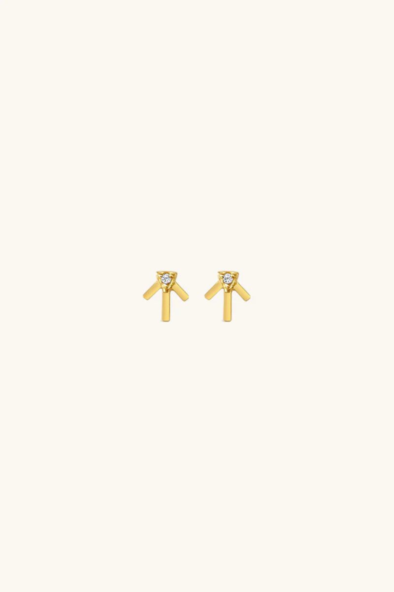 Sierra Winter Prairie Star Earring side by side