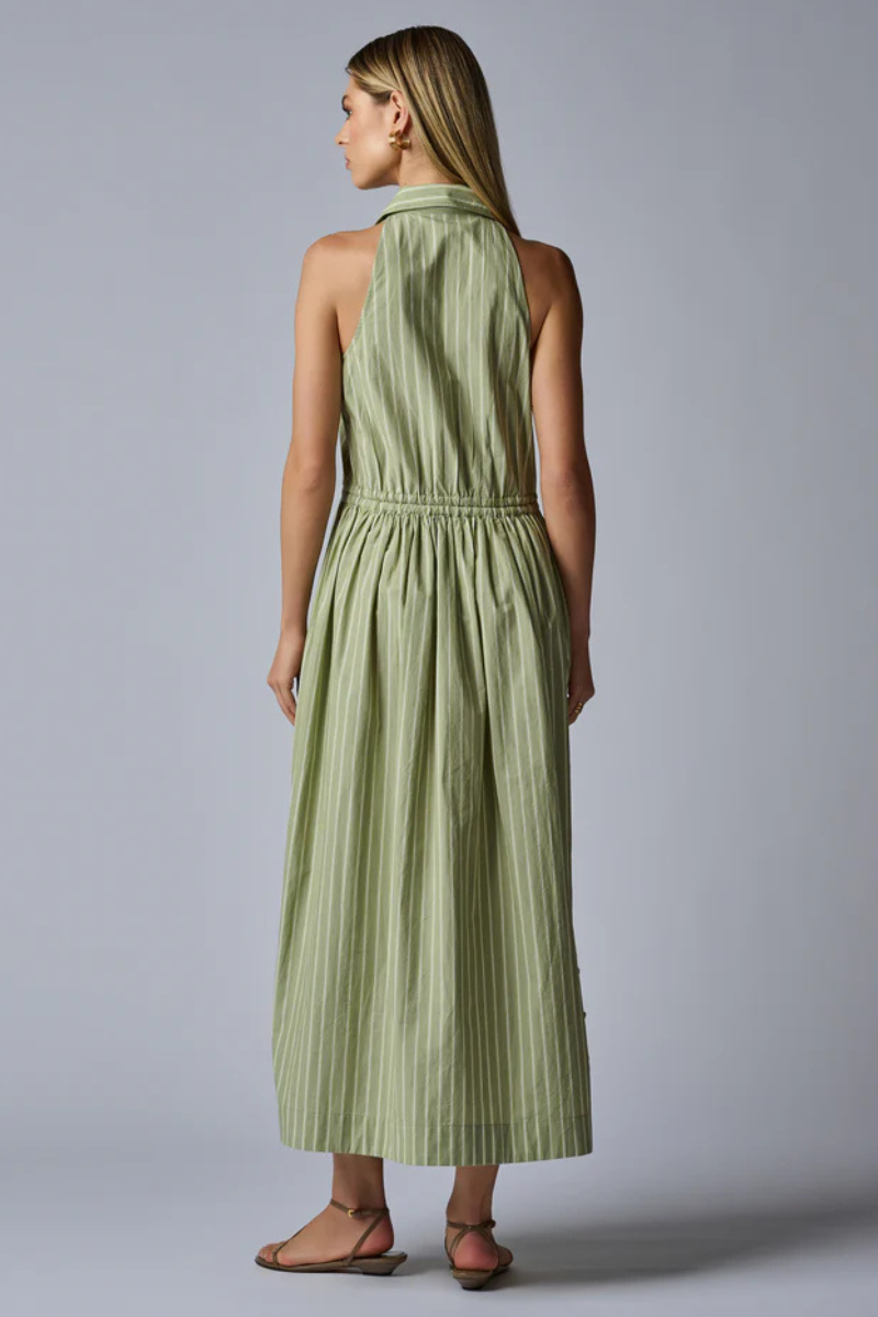Hevron Stella Midi Dress in Sage Stripe back