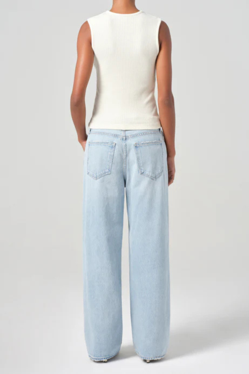 Agolde Low Slung Baggy Jean back