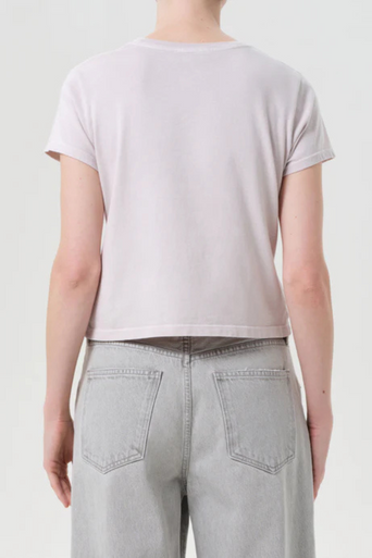 Agolde Adine Shrunken Tee in Rosewater back