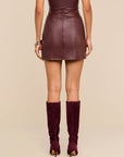 Nolina Mini Skirt back