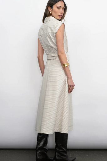 Greylin Lorena Stripe Midi Dress back