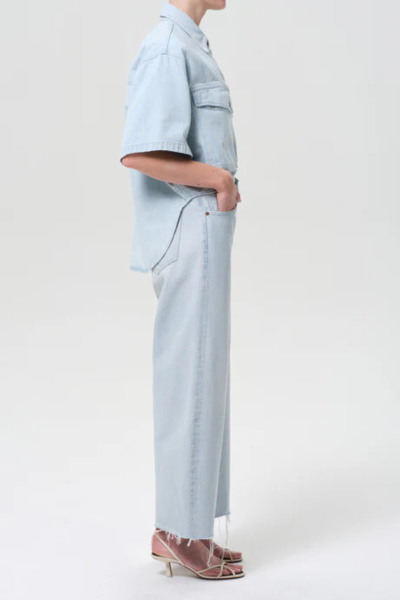 Agolde Low Curve Fray Jean side