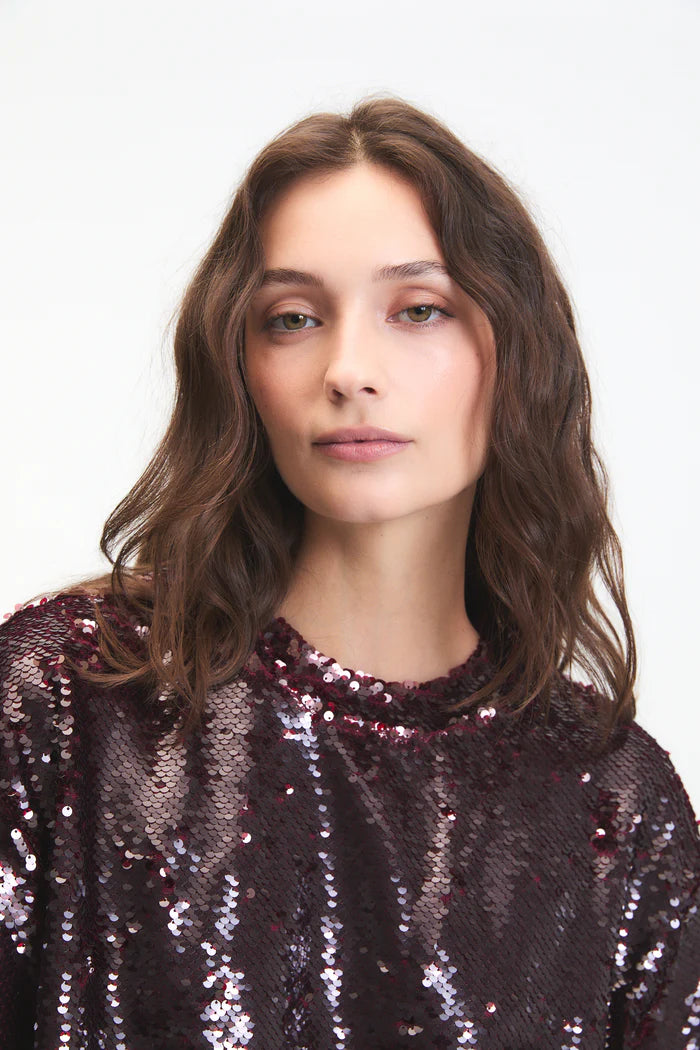 Logan Sequin Top close up