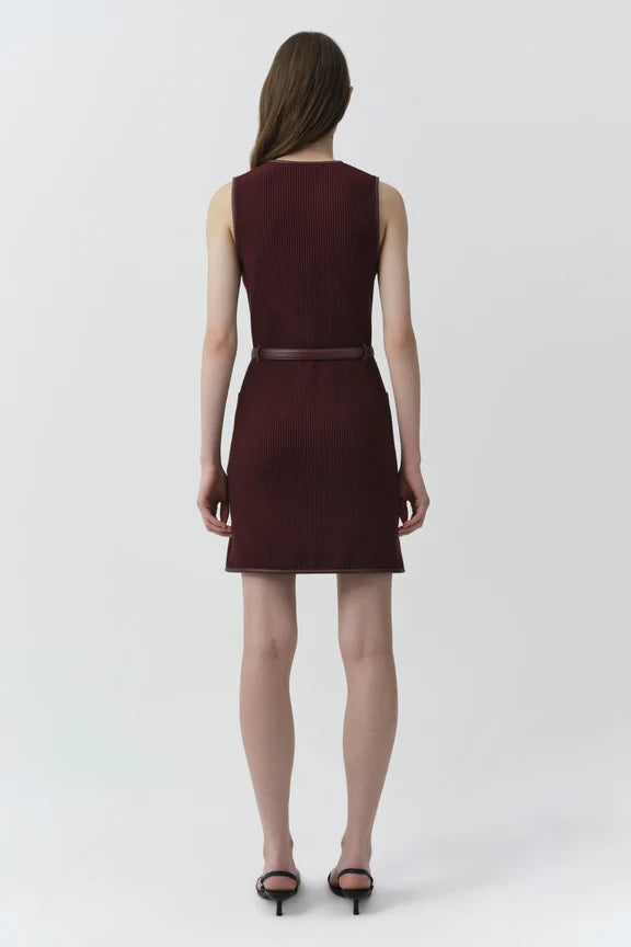 Viretta Dress back view on model
