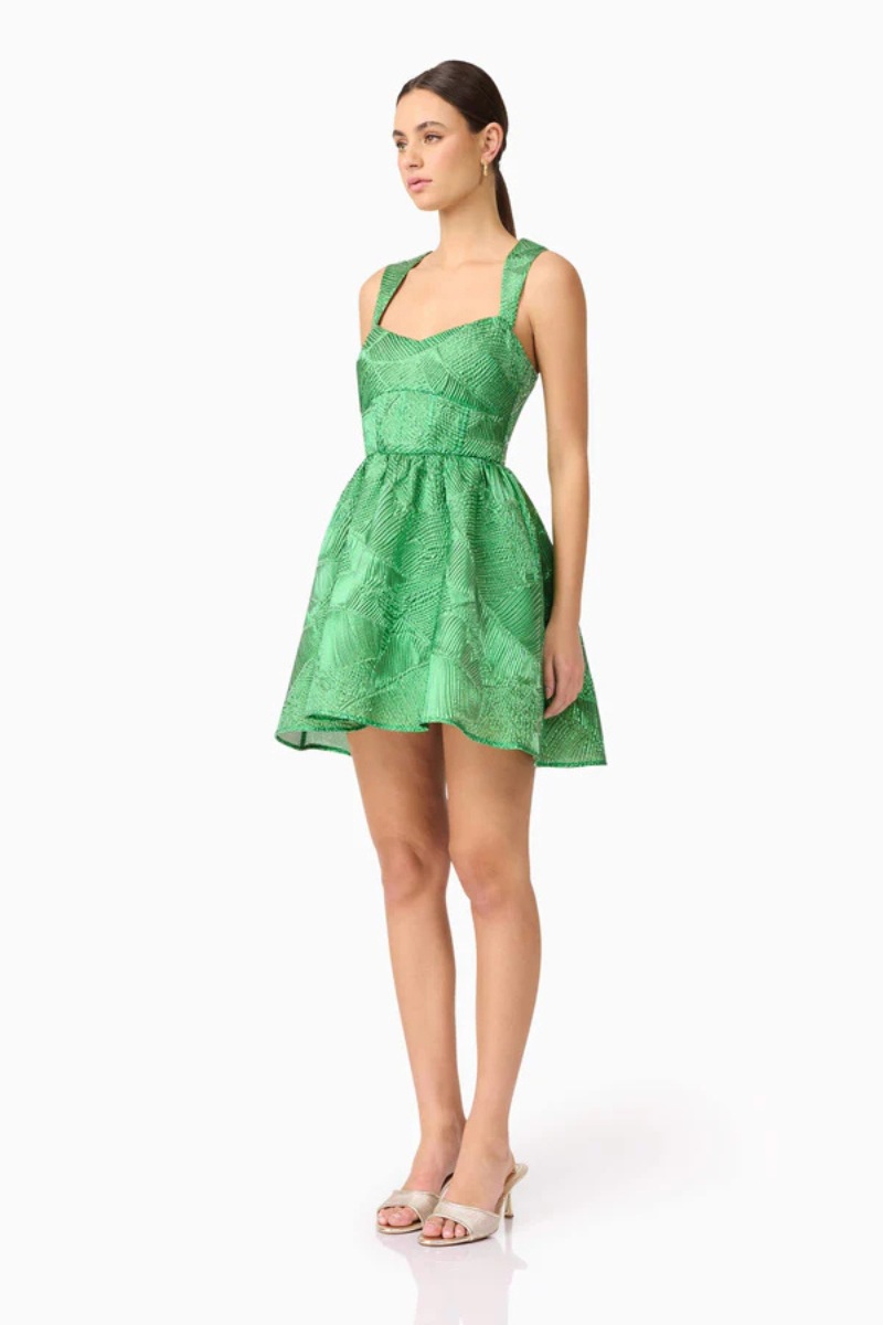 Elliatt Ginnifer A-Line Mini Dress side