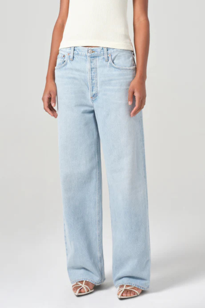 Agolde Low Slung Baggy Jean close up
