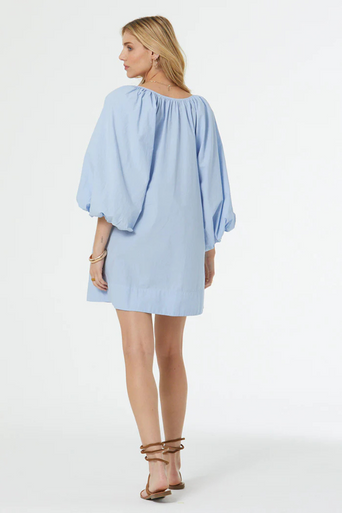 YFB Leilani Mini Dress back