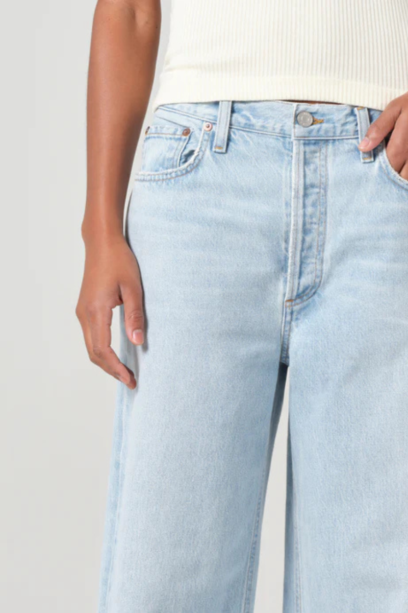 Agolde Low Slung Baggy Jean close up detail