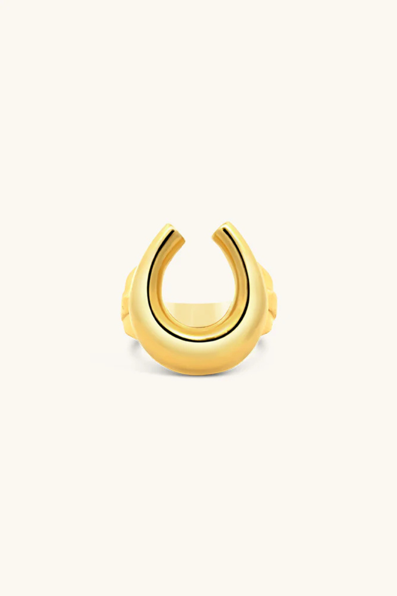 Sierra Winter Easy Rider Ring front