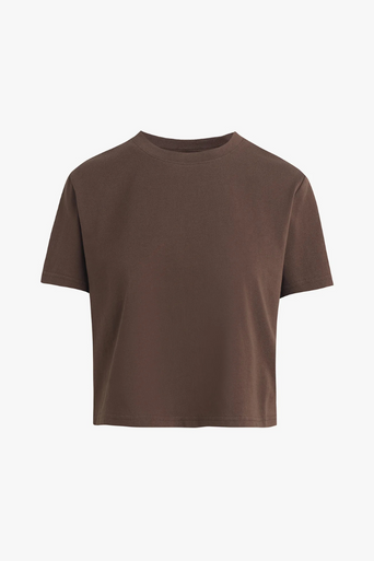 The Favorite T-Shirt in Chocolate by itself front