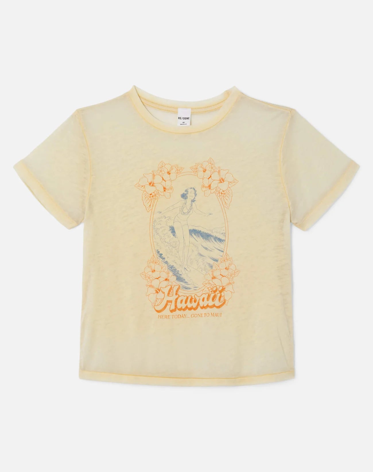 Classic Hawaii Tee by itself front